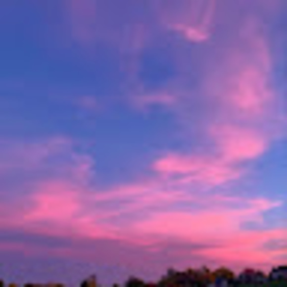 Meet your Posher, Alana - Picture 1 of 1